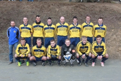 Team-2013